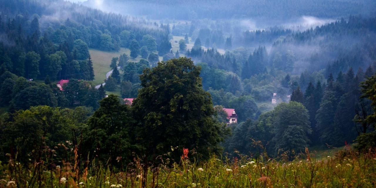 Hotel Gorski Czarna Gora Stronie Slaskie Luaran gambar