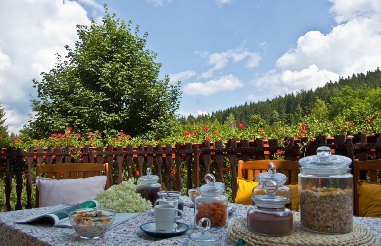 Hotel Gorski Czarna Gora Stronie Slaskie Luaran gambar