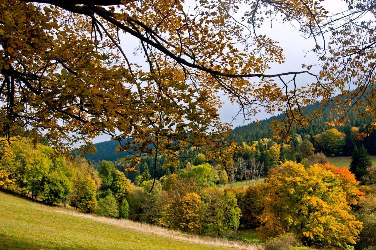 Hotel Gorski Czarna Gora Stronie Slaskie Luaran gambar